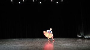 Словацкая полька