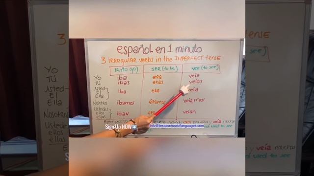 3 IRREGULAR VERBS/3 VERBOS IRREGULAR смотреть онлайн