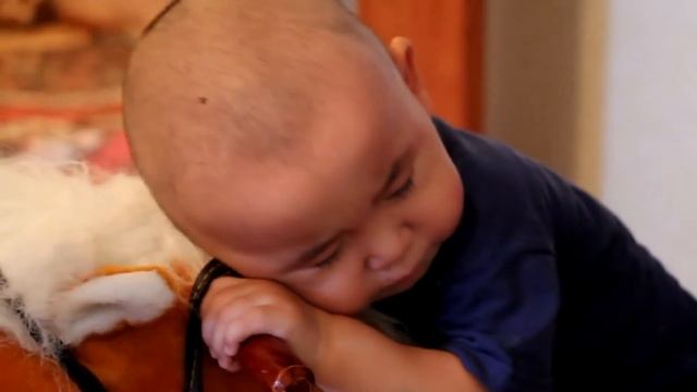 Ржач видео,Смотреть всем,Принц на коне) смотреть онлайн