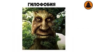 Все фобии за 9 минут