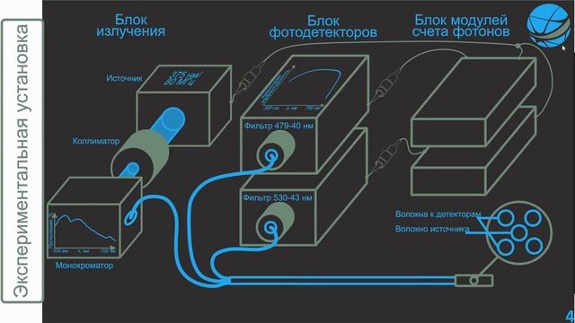 Шуплецов В. Система регистрации параметров времени жизни флуоресценции с волоконно-оптическим зондо смотреть онлайн