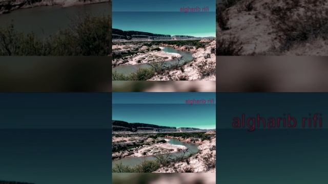 desiertos de méxico y su fauna y flora parte 2 naturaleza animales