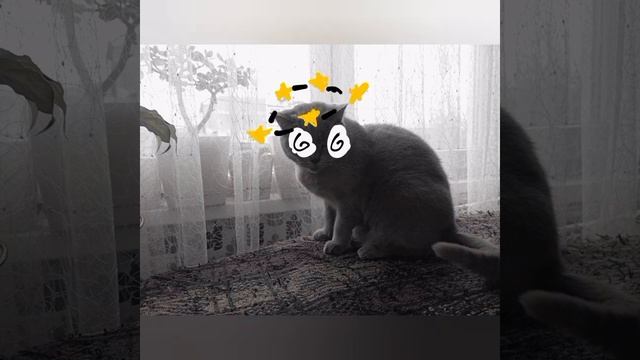 пс лица бони шаблон ( берите если хотите) смотреть онлайн