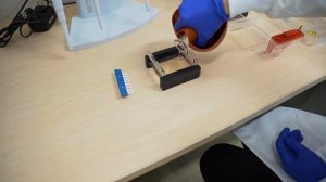 Електрофорез ДНК в гелі агарози