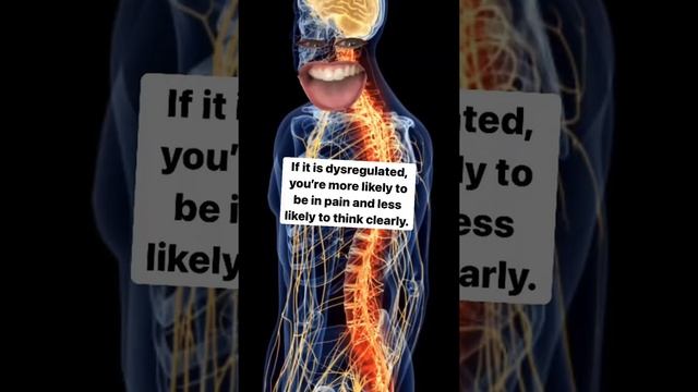 Your nervous system affects you pain sensitivity and behaviors смотреть онлайн