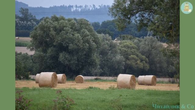 Скоромовки (за підр. Савченко 3 клас, програма НУШ, С.58) - українська народна творчість