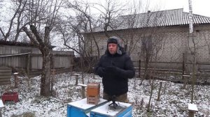 Донор для микронуклеуса. Заселение нуклеуса. Слет нуклеуса