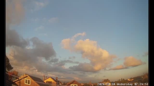 НН#16. Кукурузный Poison. 2024.11.04