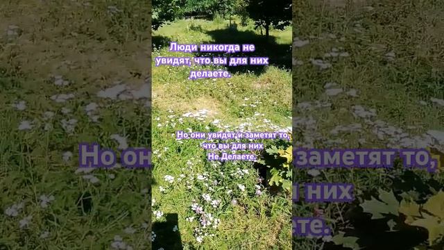 #мысли #слово #философия #правда смотреть онлайн