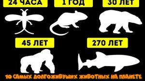 10 самых долгоживущих животных на планете.