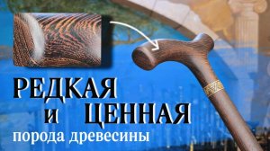 Опорная трость из массива дерева | Воевода из Венге