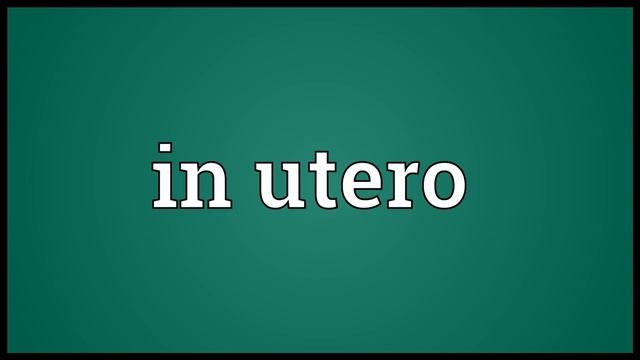 In utero Meaning смотреть онлайн