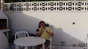 Обращение к Немецким Блогерам и подписчикам из Германии