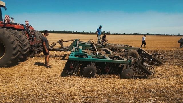 Дисковка по пшенице БДМ 7Х4 со спиральным катком на скорости 16 км/ч   ,производство "БДМ АГРОЦЕНТР"