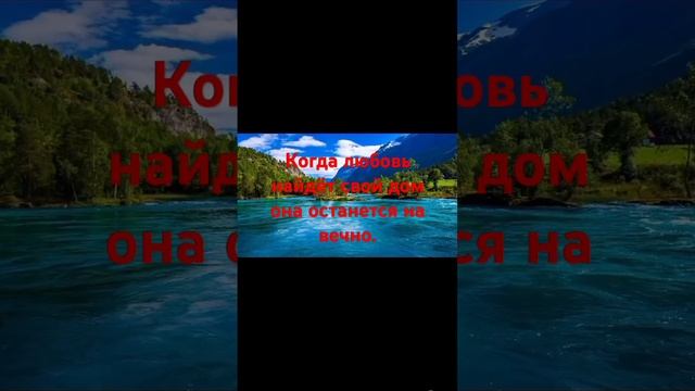#любовь #цитаты#афоризмы #высказывания #мудростьмысли #психология