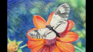 Стихотворение А. А. Фет "Бабочка"