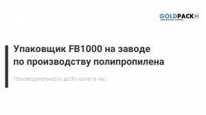 Упаковщик в стрейч-худ пленку FB1000 на заводе по производству полипропиленовых гранул