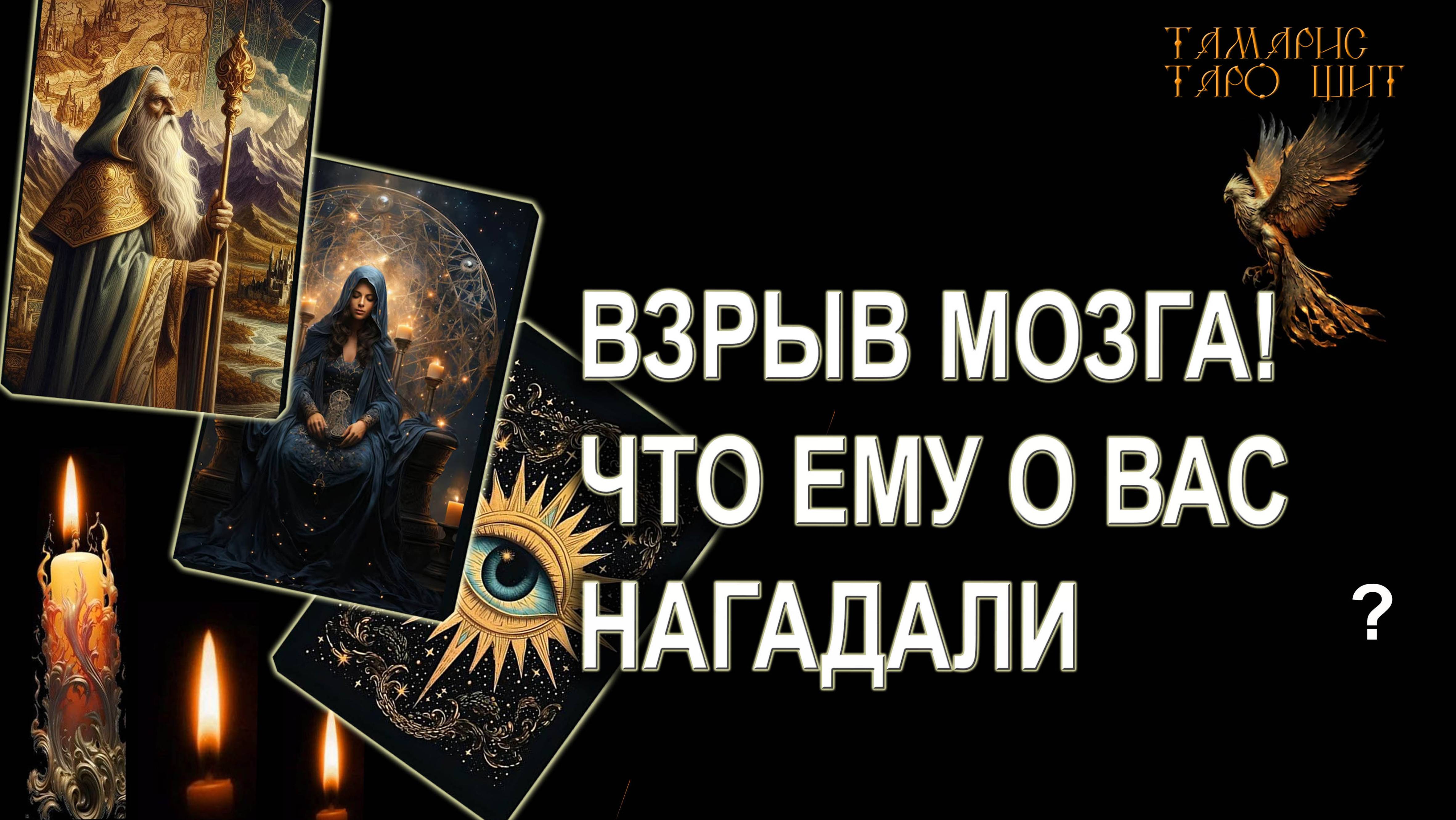 Тамарис таро щит новый расклад