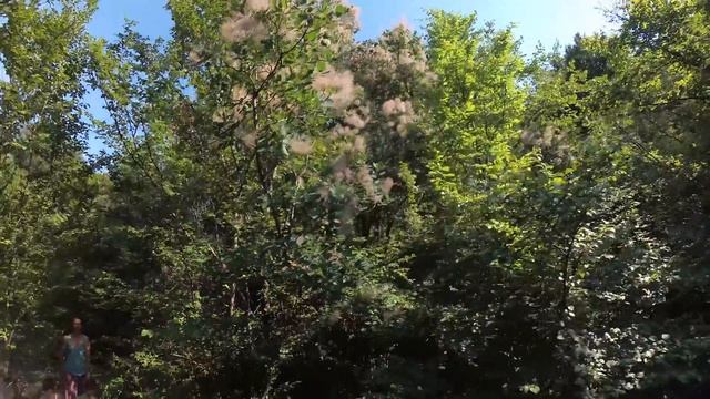 Черная речка 3