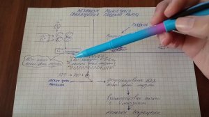 Механизм сокращения гладких мышц