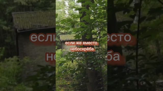 Твоя прочность #фразы #психология #умныемысли #общение #слова #сила #сосмыслом #цитаты