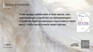"Рамта Белая Книга", Часть 8.  Джей Зи Найт. #РамтаБелаяКнига