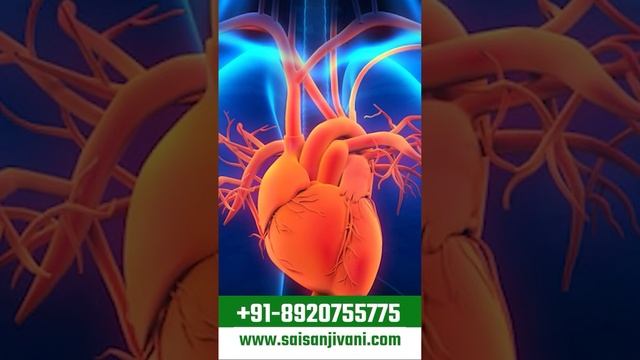 कैसे किडनी रोगी करे High Blood Pressure को Control | How Kidney Patients Can Control Blood Pressure смотреть онлайн