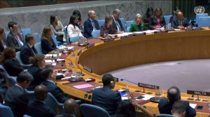 Statement by DPR Anna Evstigneeva at a UNSC Briefing on the Situation on the Korean Peninsula