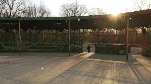 Уссурийск парк зелёный остров