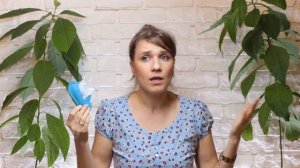 What`s The Weather Like Today? | Song for  Kids | #22 Погода для Детей.