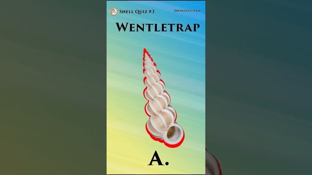 Shell Quiz: Question 3 смотреть онлайн