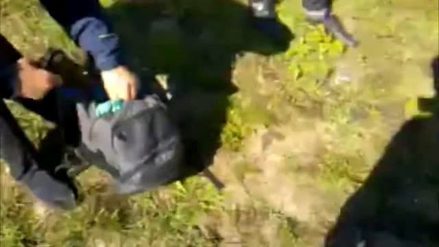 олдскулы свело смотреть онлайн