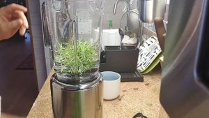 Как приготовить витграс!