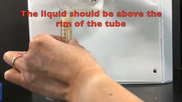AP Biology: Yeast Fermentation Lab Setup