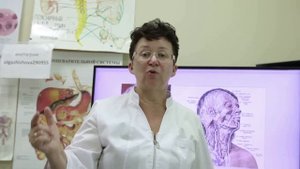 Что такое «беспокойный мозг» и как не допустить его появления. [Шишова О.И.]