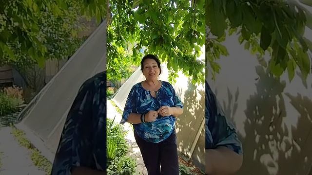 ОБРАЗ БУДУЩЕГО Ларисы Хомутенко. Укр. Форум МаЭД в Универсолисе. мир Универсологии смотреть онлайн