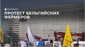 Протест бельгийских фермеров