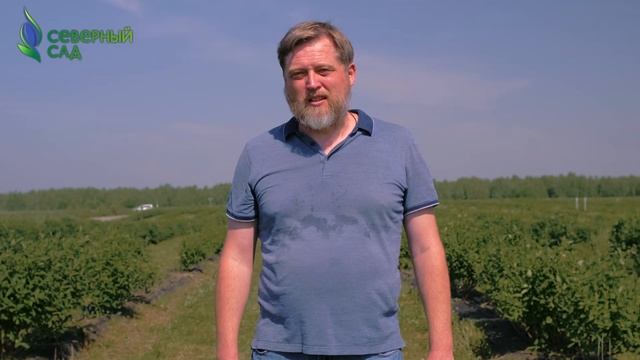 О проекте 