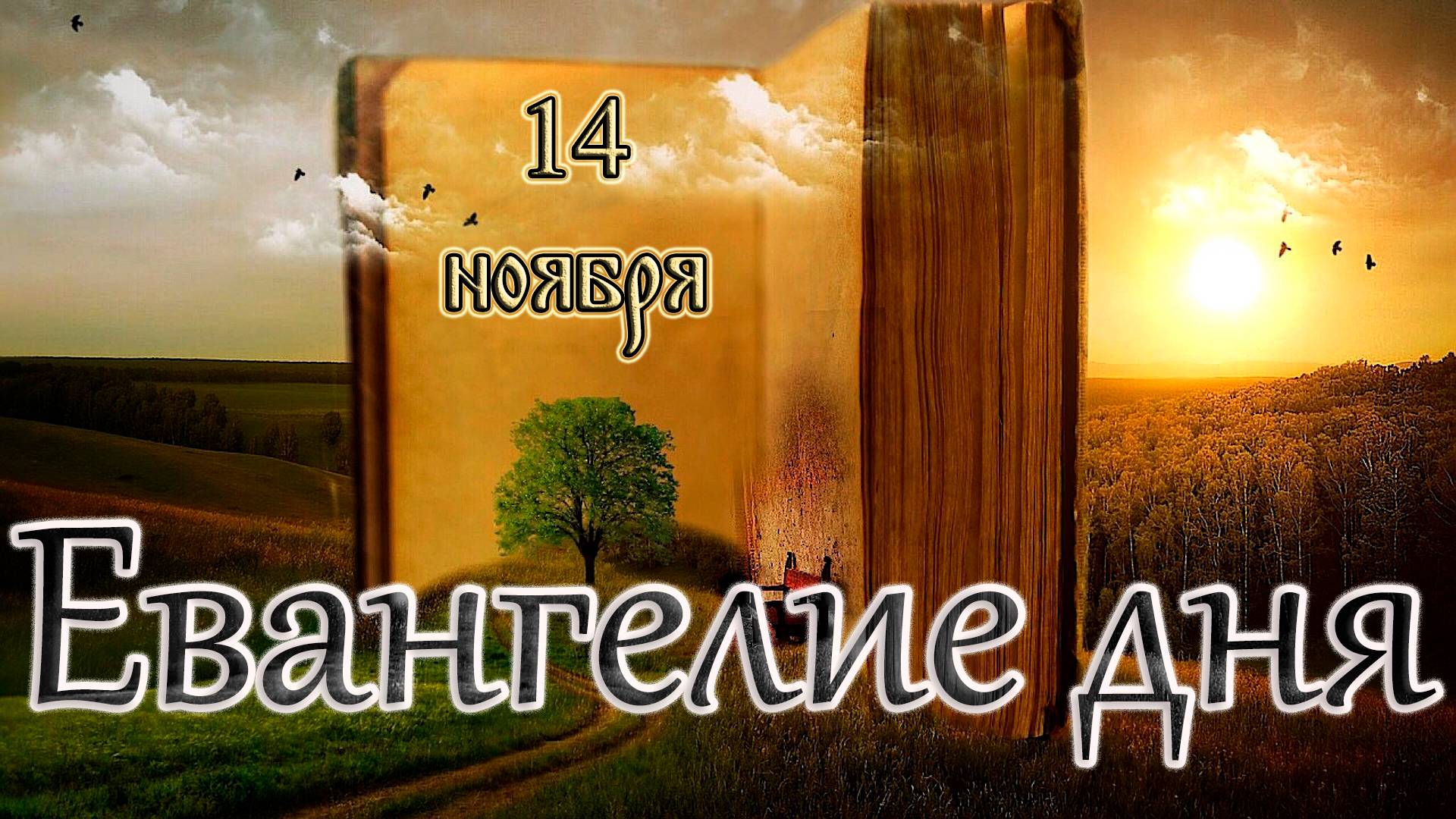 Апостол, Евангелие и Святые дня. Седмица 21-я по Пятидесятнице. (14.11.24)