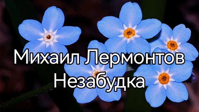 Михаил Лермонтов, сказка Незабудка смотреть онлайн
