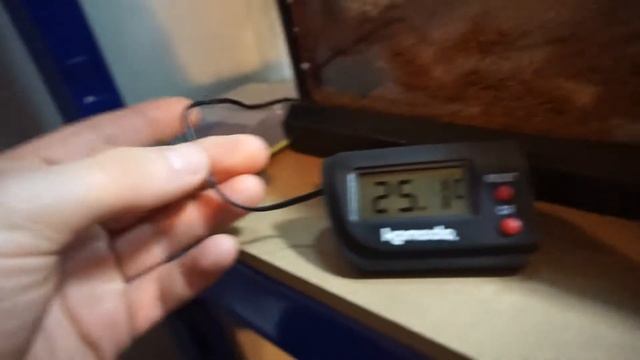 Komodo Digital Thermometer Review смотреть онлайн