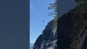 Павло Зибров-  КУКУШКА