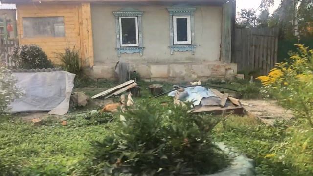 Золото Зарайска. Пронюхлово смотреть онлайн