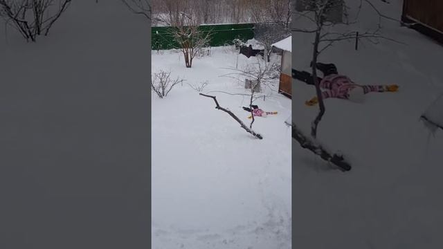 Зима в Саратове