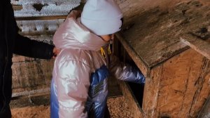 Социальный ролик