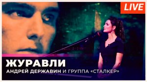 Андрей Державин - Журавли - live Музыка+