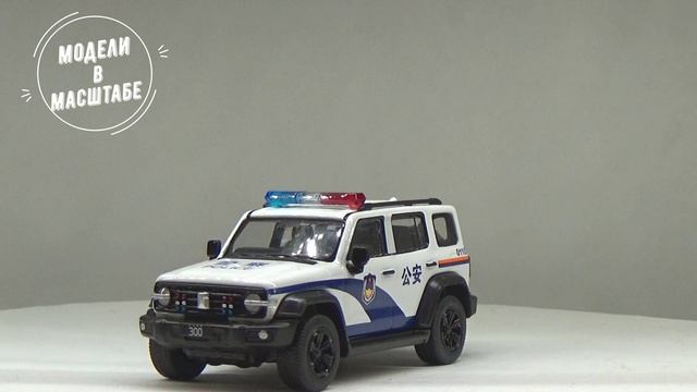 TANK 300
