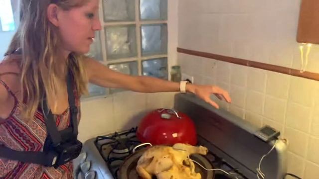 ThermoPro Digital Meat Probe смотреть онлайн