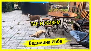 ТАК И ЖИВЁМ. #ВЕДЬМИНАИЗБА ▶️ #МАГИЯ