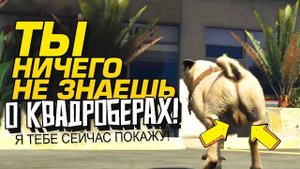 ТЫ НИЧЕГО О НИХ НЕ ЗНАЕШЬ! - КТО ТАКОЙ КВАДРОБЕР (Перезалив Шиморо)